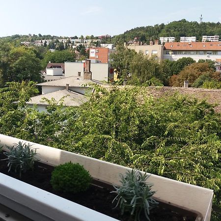 Malnas Macska Apartman Szekszárd エクステリア 写真