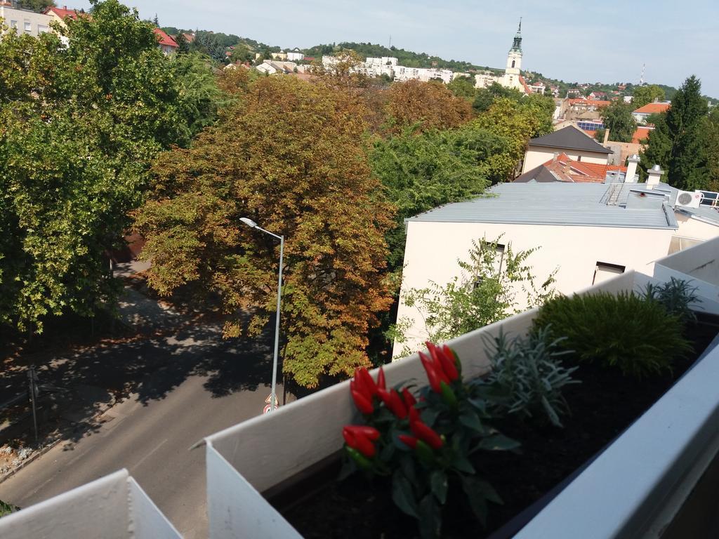 Malnas Macska Apartman Szekszárd エクステリア 写真